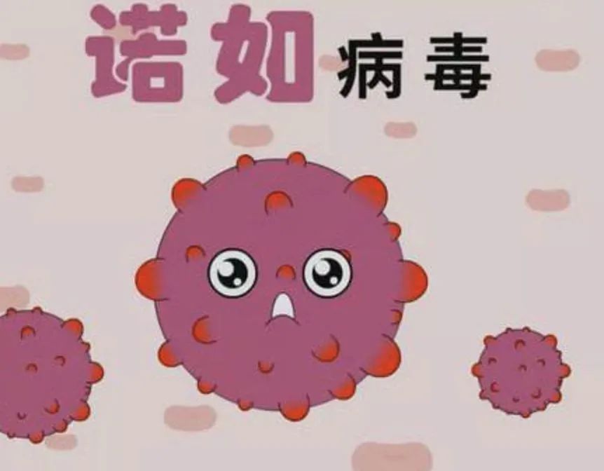 春季传染病2.jpg 春季传染病2.jpg
